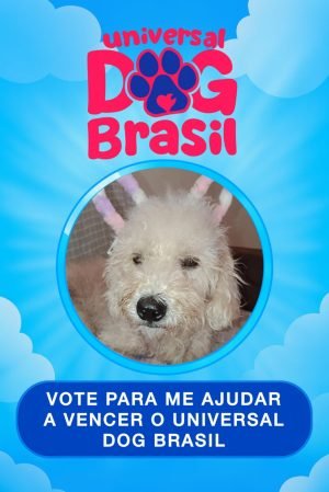 Chiquim